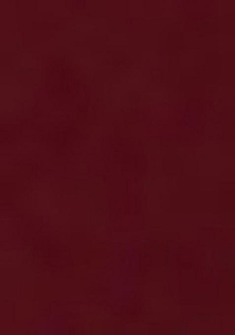 Girls Rust Embroidered Crepe Lehenga Set