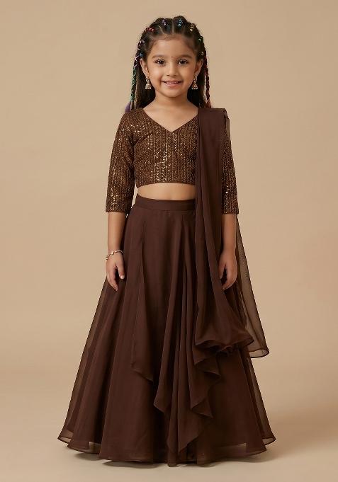 Brown Hand Work Chinnon Lehenga Set For Girls
