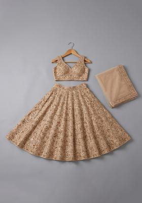 Girls Beige Embroidered Net Lehenga Set