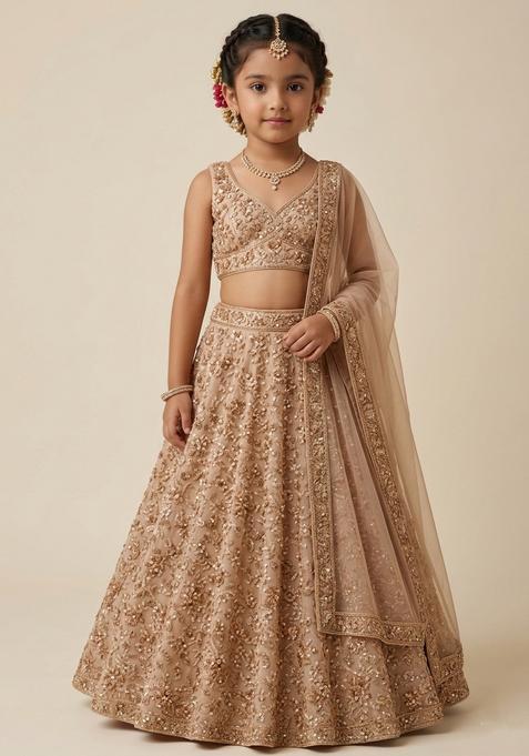 Girls Beige Embroidered Net Lehenga Set
