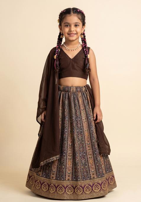 Girls Brown Embroidered Crepe Lehenga Set