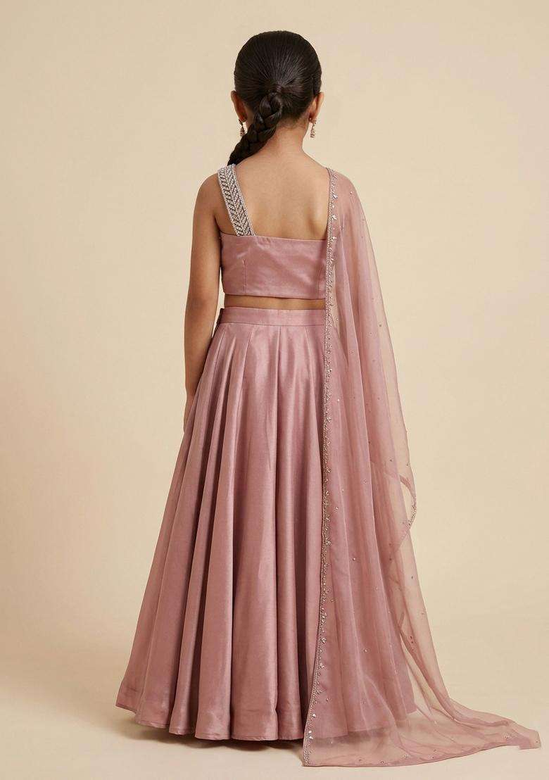 Girls Pastel Pink Crepe Handwork Lehenga Set - Indya