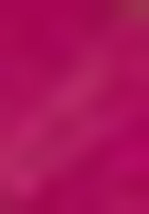 Multicolor Brocade Dress