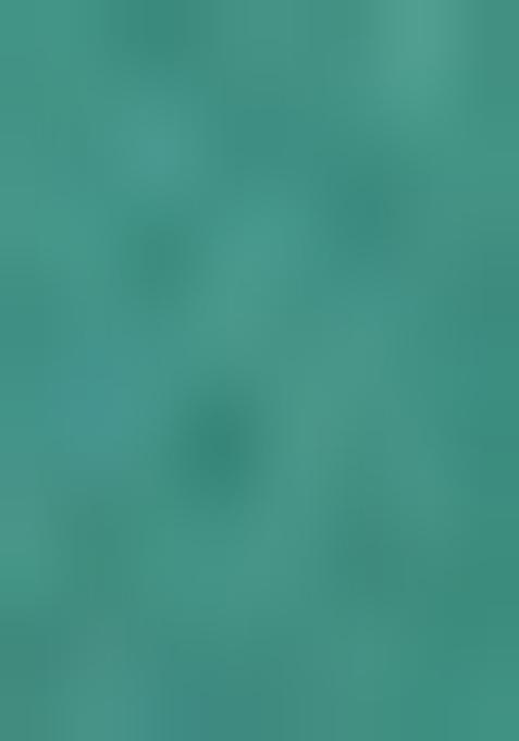 Multicolor Brocade Dress