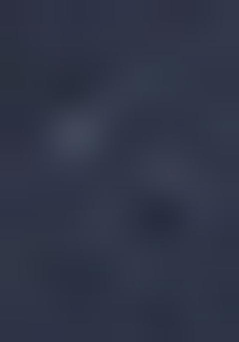 Blue Embroidered Denim Dress