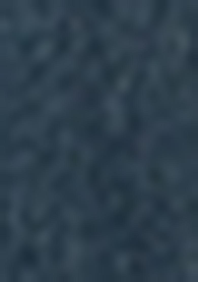 Blue Printed Denim Dress