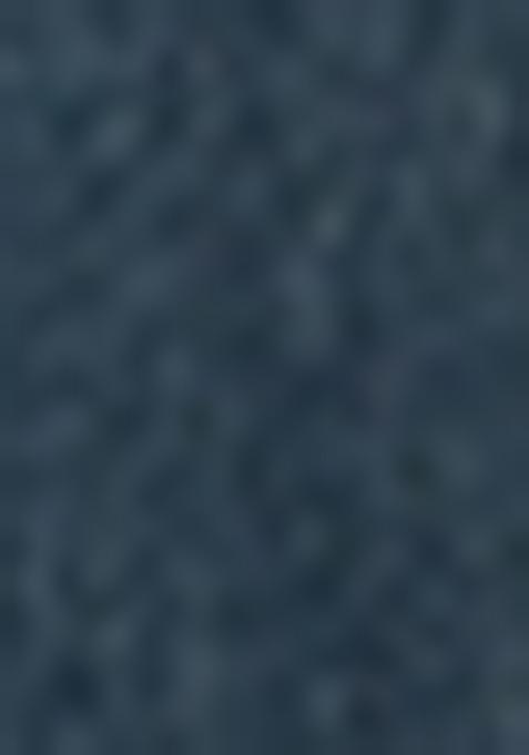 Blue Printed Denim Dress