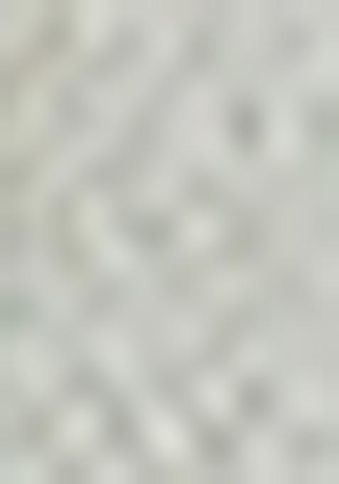 Grey Foil Print Cotton Denim Dress