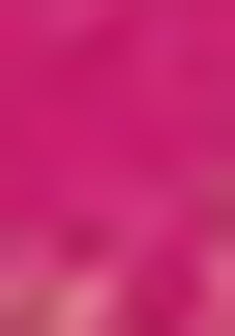 Magenta Brocade Jumpsuit