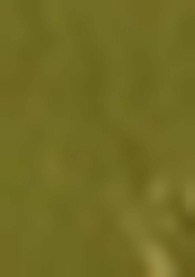 Henna Green Brocade Dress