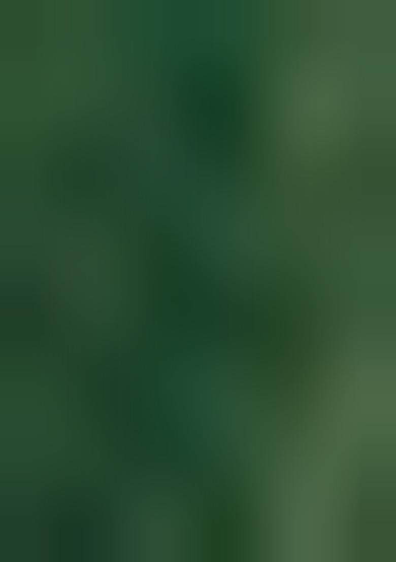 Green Jacquard  Dress - Indya