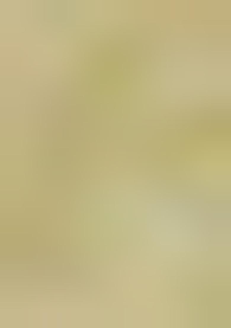 Light Green Brocade Dress