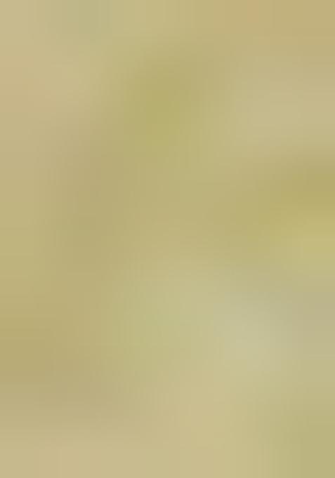 Light Green Brocade Dress