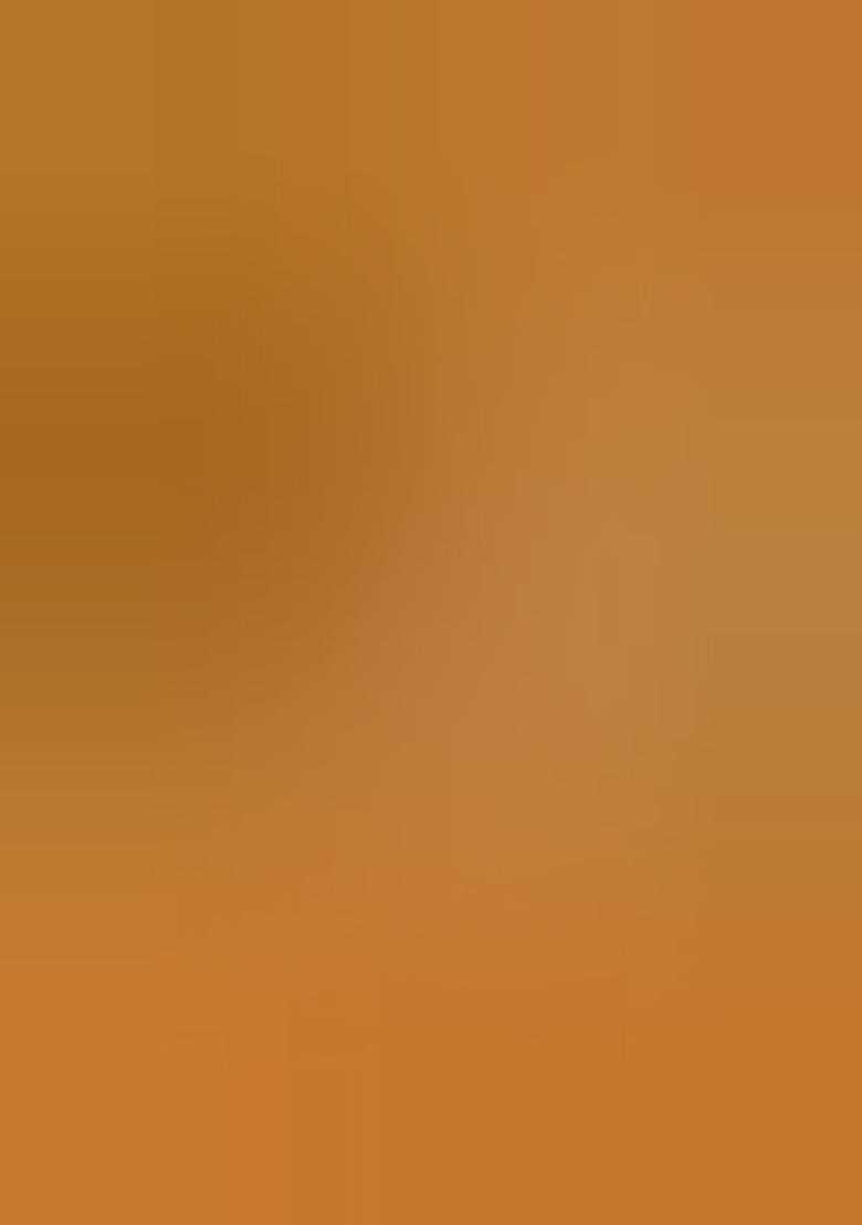 Multicolor Brocade Dress