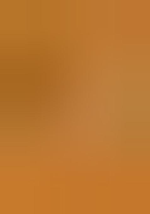 Multicolor Brocade Dress