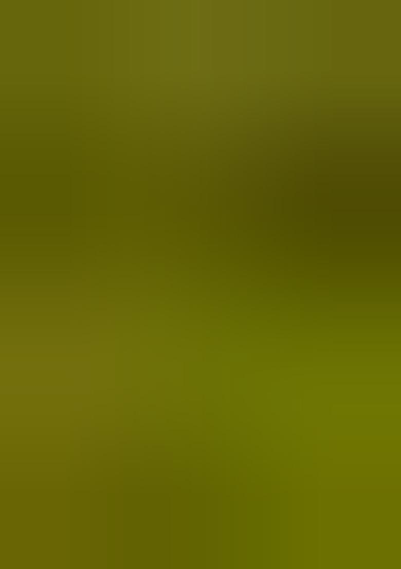 Light Green Brocade Dress