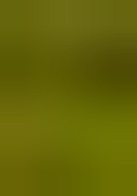 Light Green Brocade Dress