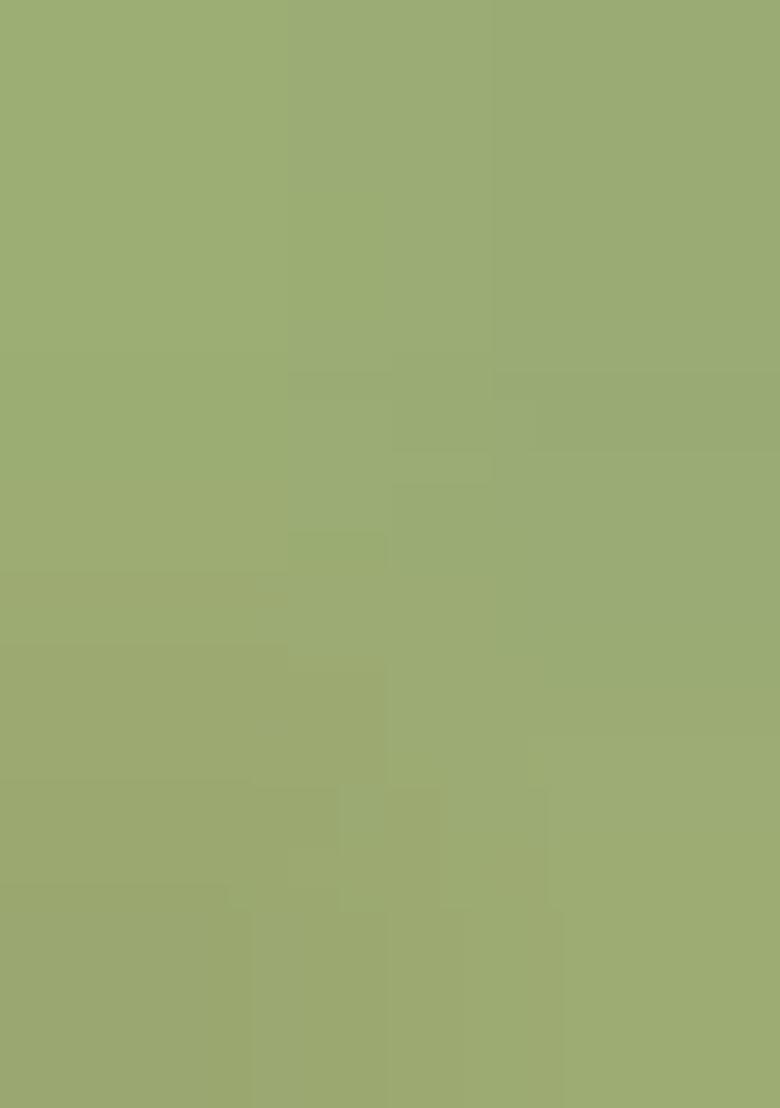 Green Embroidered Brocade Dress