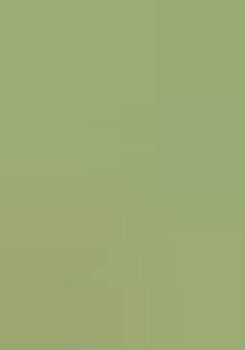 Green Embroidered Brocade Dress