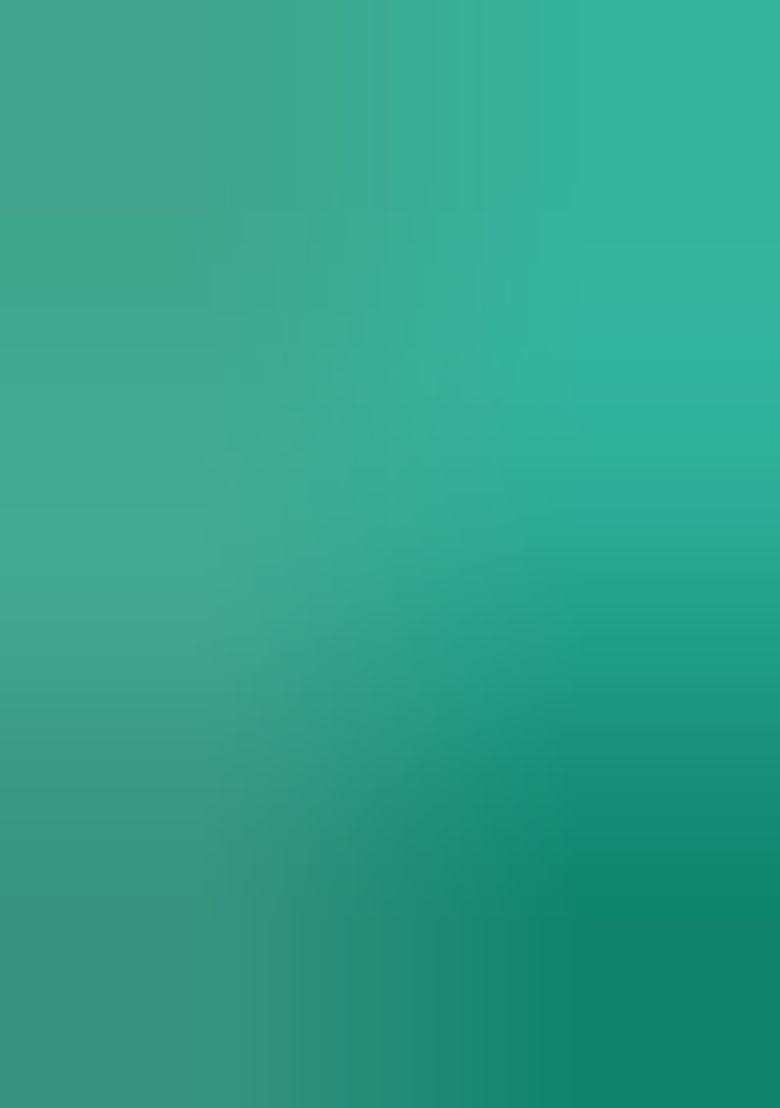 Green Embroidered Brocade Dress