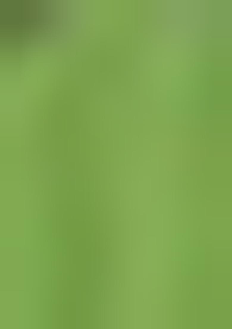 Green Printed Cotton Blend Dress