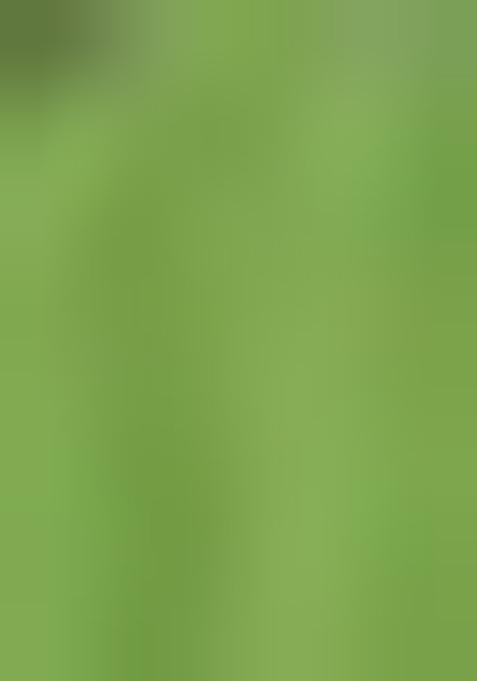 Green Printed Cotton Blend Dress