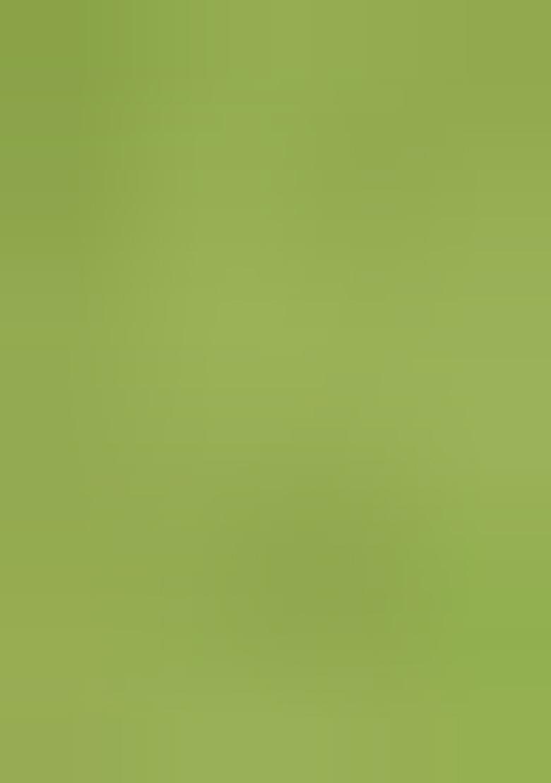 Light Green Printed Linen Dress