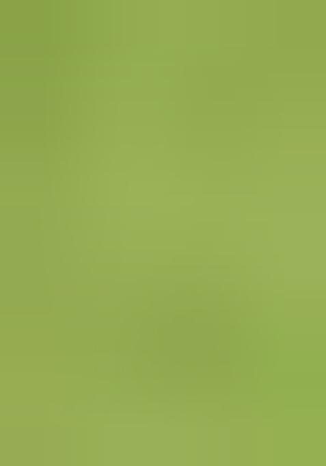 Light Green Printed Linen Dress