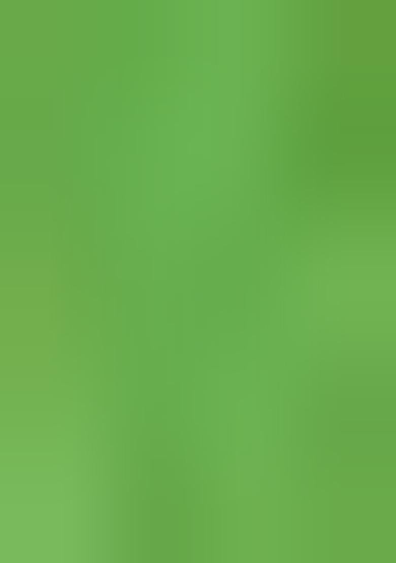 Green Embroidered Brocade Dress