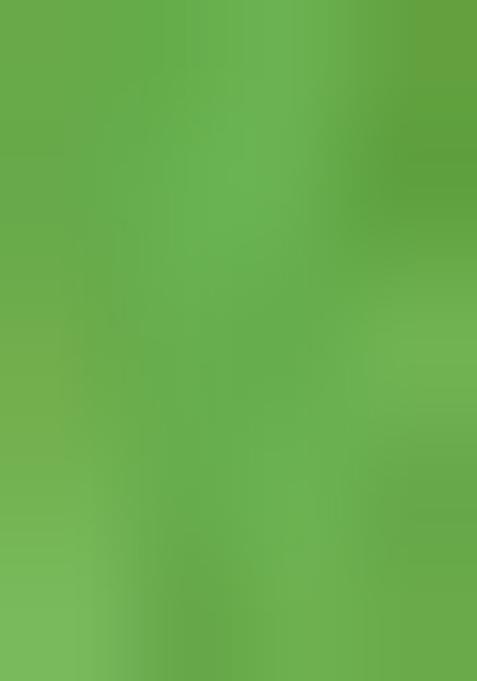 Green Embroidered Brocade Dress