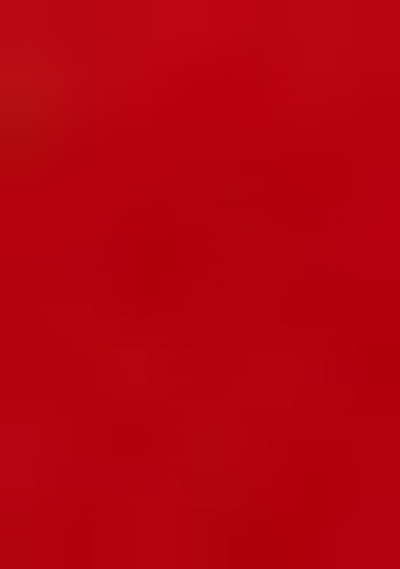 Red Embroidered Brocade Dress