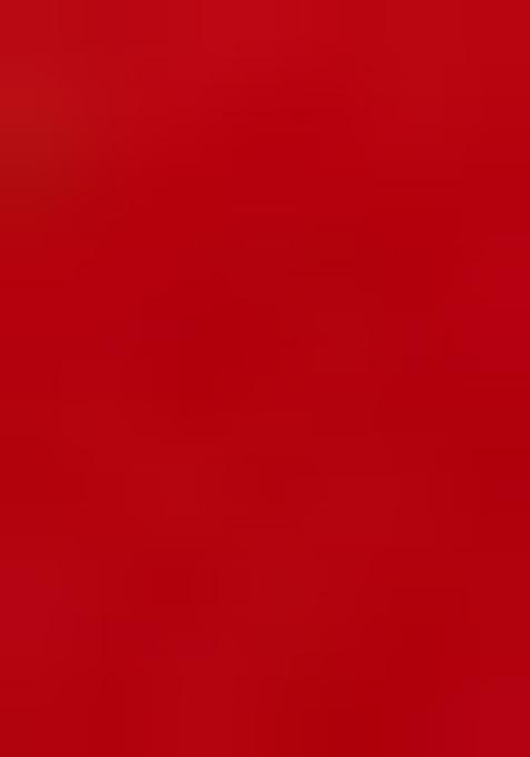 Red Embroidered Brocade Dress