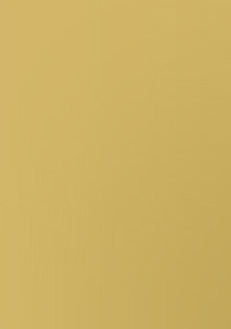 Multicolor Embroidered Brocade Dress