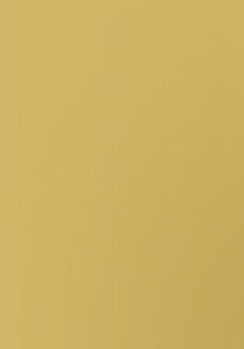 Multicolor Embroidered Brocade Dress