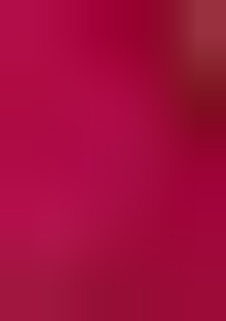 Multicolor Embroidered Brocade Dress