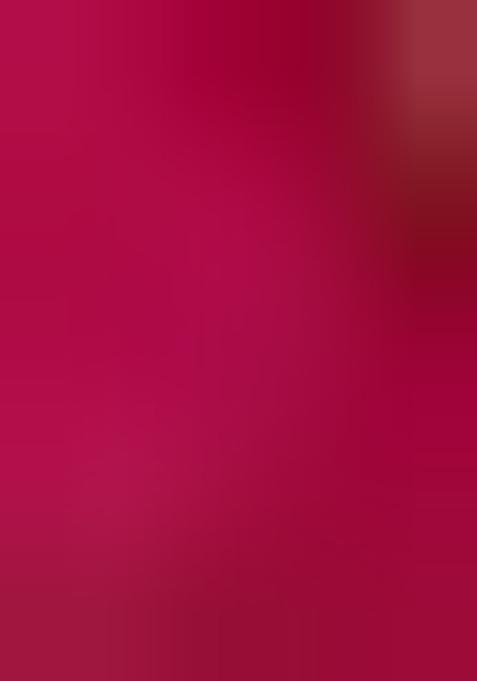 Multicolor Embroidered Brocade Dress