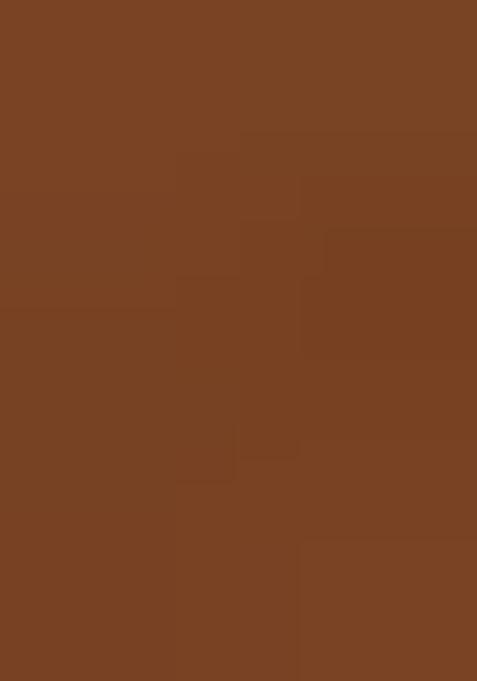 Brown Textured Georgette Dress