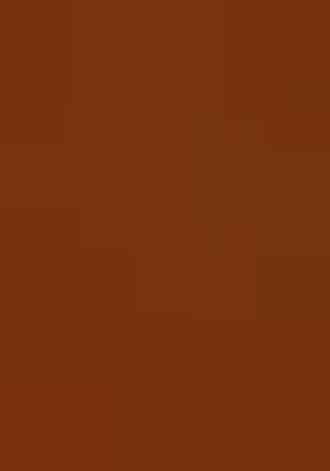 Brown Floral Print Cotton Dress