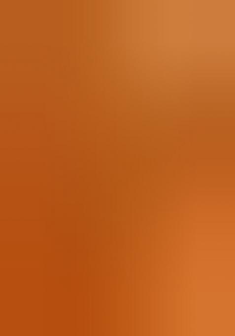 Orange Brocade Dress