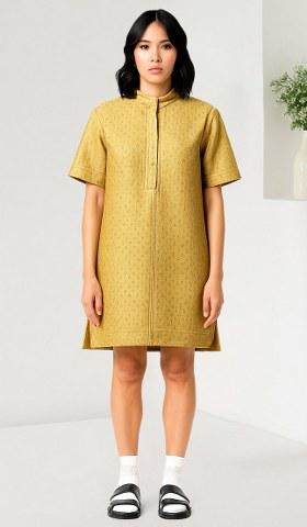 Golden Brocade Dress