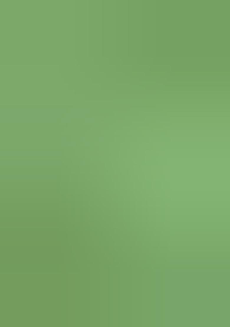 Mint Green Brocade Dress