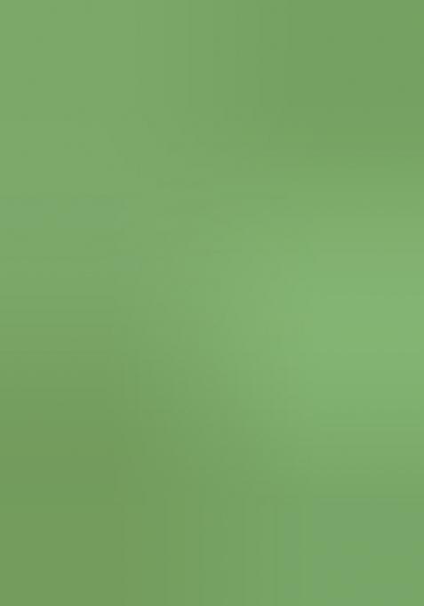 Mint Green Brocade Dress