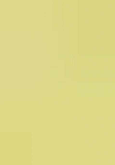 Lime Green Brocade Dress