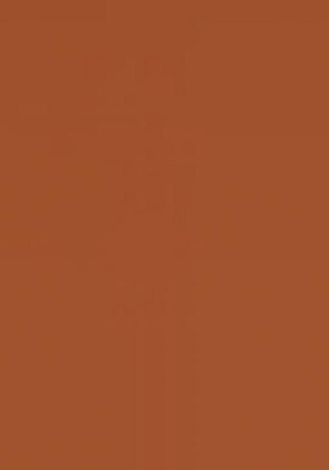 Orange Brocade Dress