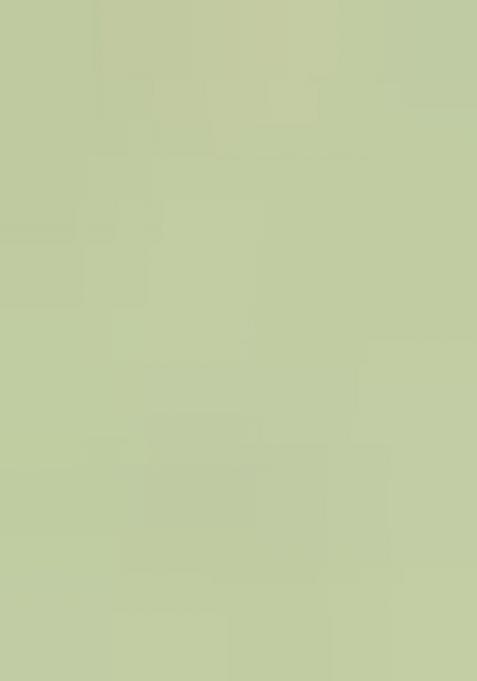 Green Printed Satin Fusion Set