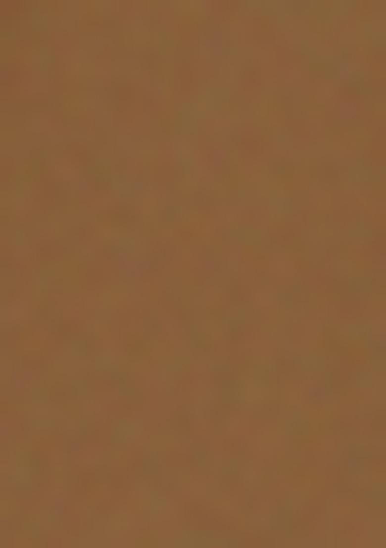 Brown Printed Satin Fusion Set