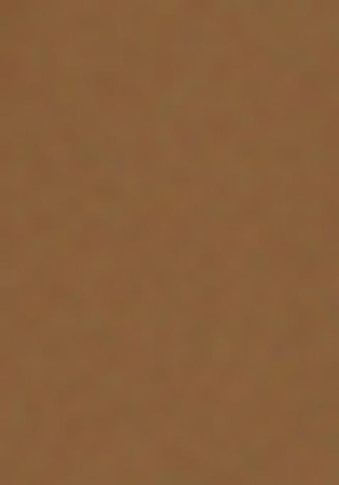 Brown Printed Satin Fusion Set