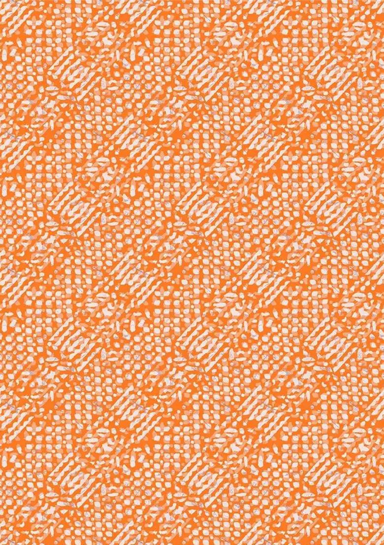 Orange Printed Chiffon Fusion Set - Indya