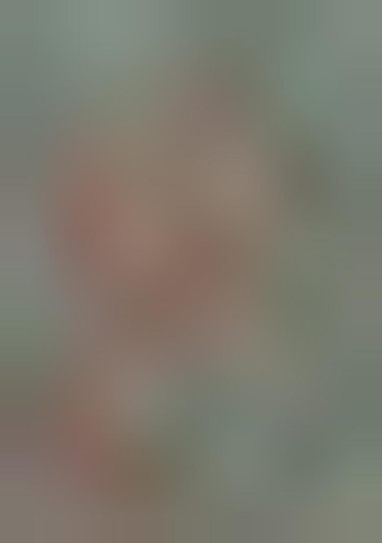 Mint Green Printed Polyester Fusion Set