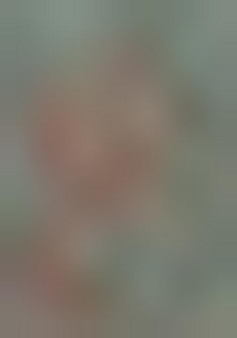 Mint Green Printed Polyester Fusion Set